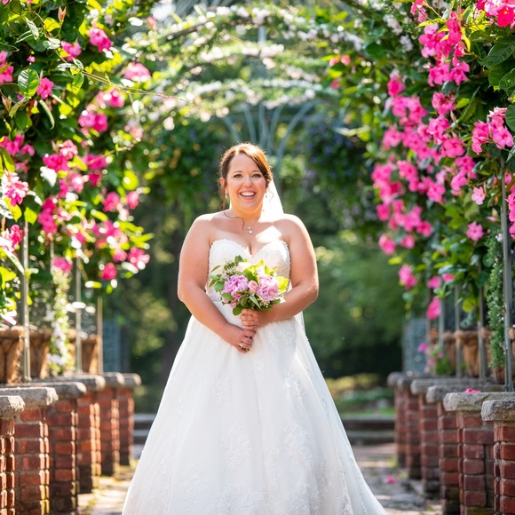 Meet your Posher, Amelia - Picture 3 of 3